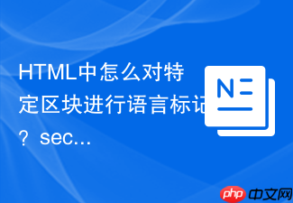 html中怎么对特定区块进行语言标记?section元素lang属性作用详解