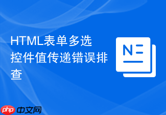 html表单多选控件值传递错误排查
