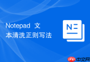 Notepad++文本清洗正则写法