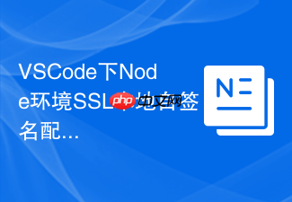 vscode下node环境ssl本地自签名配置