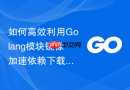 如何高效利用Golang模块镜像加速依赖下载