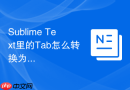 Sublime Text里的Tab怎么转换为空格？配置文件修改方法