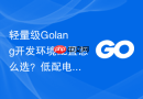 轻量级golang开发环境配置怎么选？低配电脑流畅运行方案