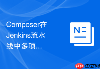 composer在jenkins流水线中多项目并行构建时的缓存锁冲突排查