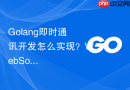 Golang即时通讯开发怎么实现？WebSocket通信步骤指南
