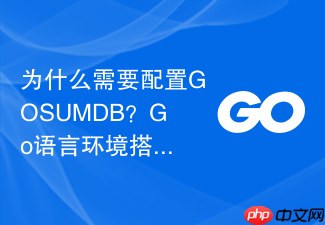 为什么需要配置gosumdb?go语言环境搭建中的安全验证