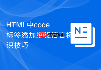 html中code标签添加编程语言标识技巧
