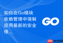 如何在Go模块依赖管理中强制应用最新的安全修复版本