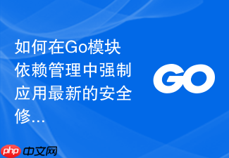如何在go模块依赖管理中强制应用最新的安全修复版本
