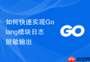 如何快速实现Golang模块日志脱敏输出