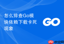 怎么排查Go模块依赖下载卡死现象