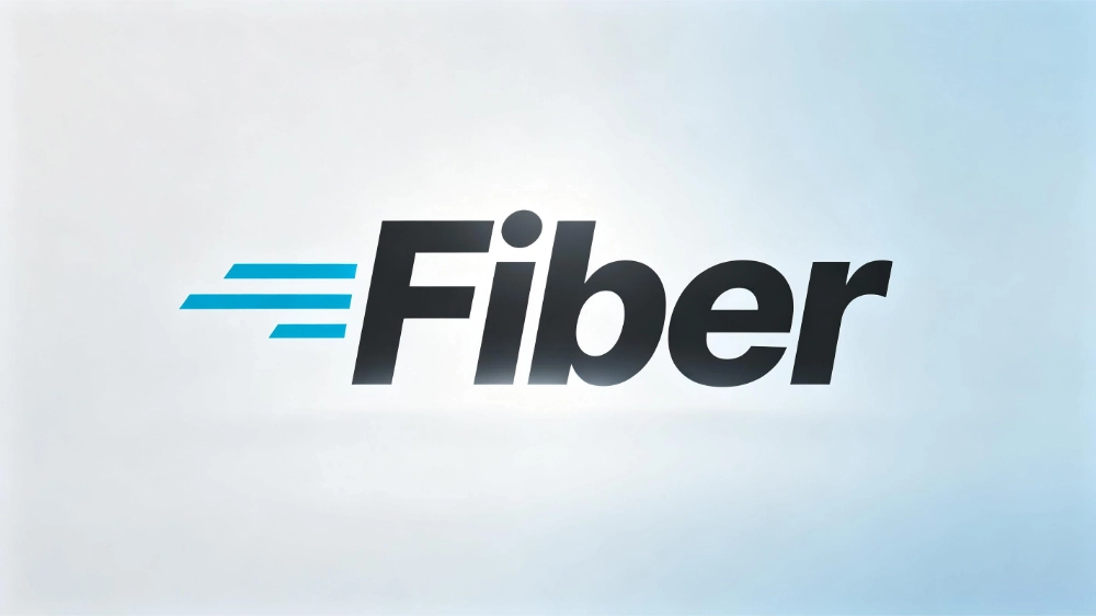go语言fiber框架中提取表单中复选框数据