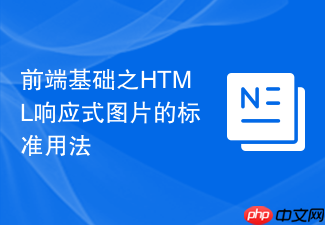 前端基础之html响应式图片的标准用法