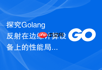 探究golang反射在边缘计算设备上的性能局限性
