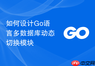 如何设计go语言多数据库动态切换模块
