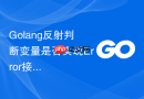 Golang反射判断变量是否实现Error接口的方法