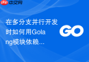 在多分支并行开发时如何用Golang模块依赖管理避免版本抢占