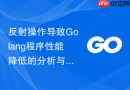 反射操作导致Golang程序性能降低的分析与处理
