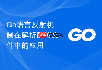 go语言反射机制在解析配置文件中的应用