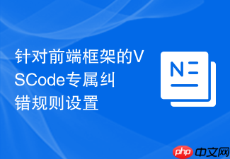 针对前端框架的vscode专属纠错规则设置