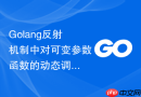 Golang反射机制中对可变参数函数的动态调用逻辑