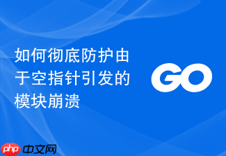 如何彻底防护由于空指针引发的模块崩溃