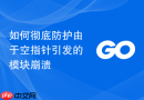 如何彻底防护由于空指针引发的模块崩溃