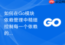如何在Go模块依赖管理中精细控制每一个依赖的版本