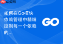 如何在go模块依赖管理中精细控制每一个依赖的版本