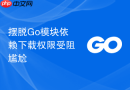 摆脱go模块依赖下载权限受阻尴尬