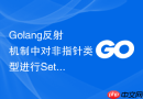 golang反射机制中对非指针类型进行set操作引发的崩溃规避