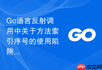 go语言反射调用中关于方法索引序号的使用陷阱