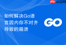 如何解决Go语言因内存不对齐导致的崩溃