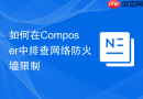 如何在composer中排查网络防火墙限制