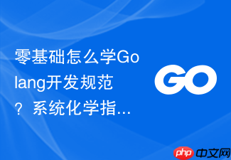 零基础怎么学golang开发规范?系统化学指南