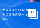 怎么排查由于dns解析缓慢导致的composer install命令超时?