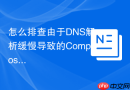 怎么排查由于DNS解析缓慢导致的Composer install命令超时？