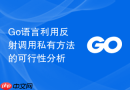 Go语言利用反射调用私有方法的可行性分析