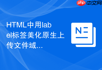 html中用label标签美化原生上传文件域