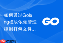 如何通过Golang模块依赖管理控制打包文件大小