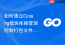 如何通过golang模块依赖管理控制打包文件大小