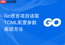 Go语言项目读取TOML配置参数高效方法