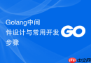 golang中间件设计与常用开发步骤