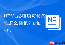 HTML必填项可访问性怎么标记？aria-required规范