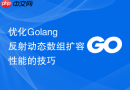 优化golang反射动态数组扩容性能的技巧