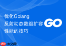优化Golang反射动态数组扩容性能的技巧