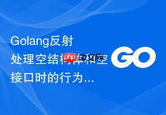 golang反射处理空结构体和空接口时的行为差异