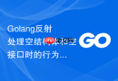golang反射处理空结构体和空接口时的行为差异