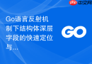 Go语言反射机制下结构体深层字段的快速定位与赋值
