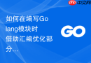 如何在编写Golang模块时借助汇编优化部分高频计算函数的执行效率